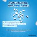 CREATINE CREASTRONG®