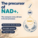 NAD+