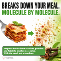 DIGESTION ENZYMES