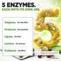 DIGESTION ENZYMES