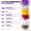 TRANS-RESVERATROL & NAD+